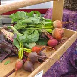 beets logo