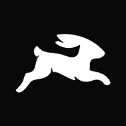 Directus logo