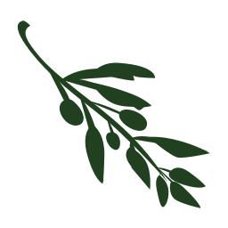 Olive Video Editor logo