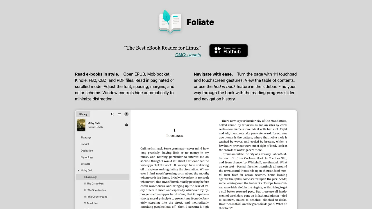Foliate screenshot