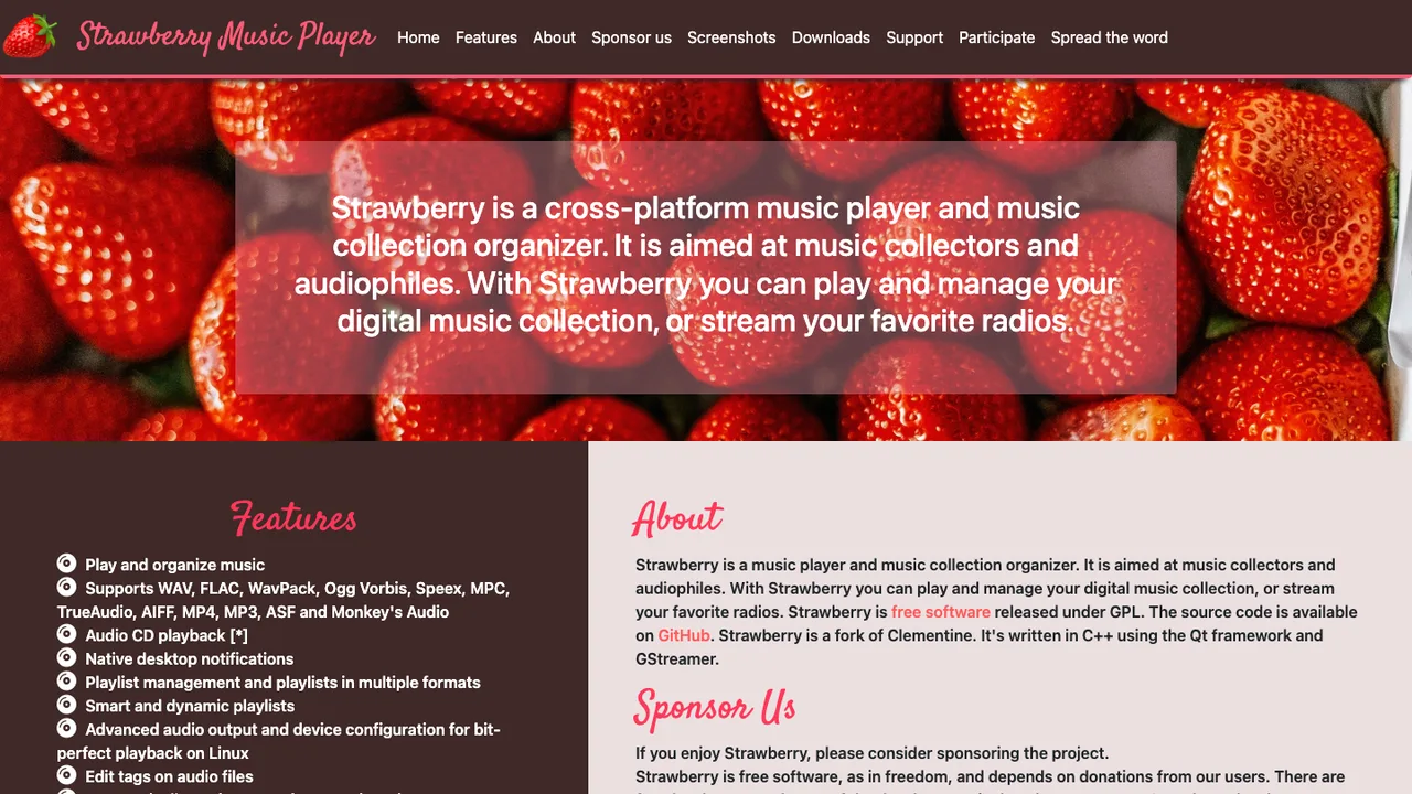 Strawberry Music Player screenshot